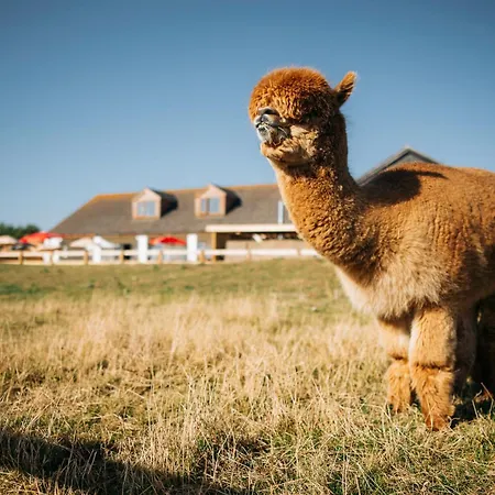 Glamping At Macdonald's Farm * Saint Ervan