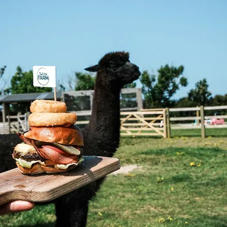 Glamping At Macdonald's Farm Saint Ervan